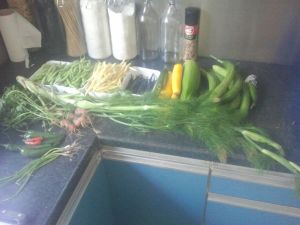 De opbrengst uit de moestuin van mijn dochter na een week afwezigheid...